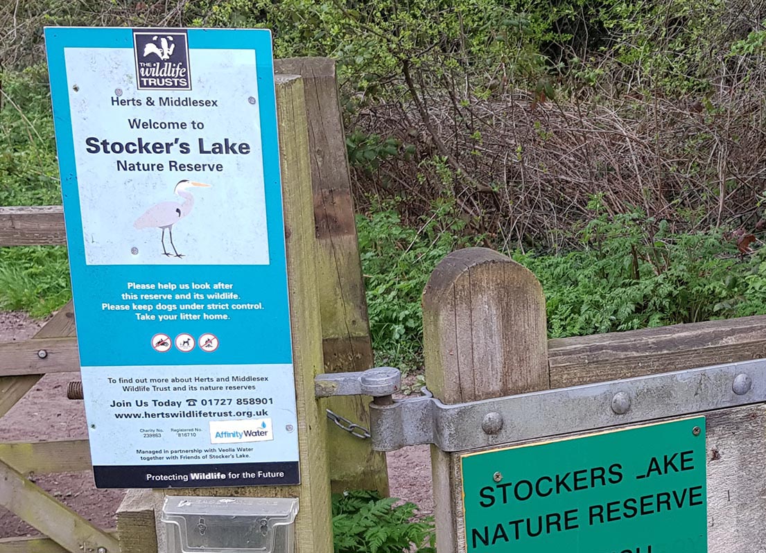 Stockers Lake nature reserve Rickmansworth is owned by Affinity Water and managed by the Trust.