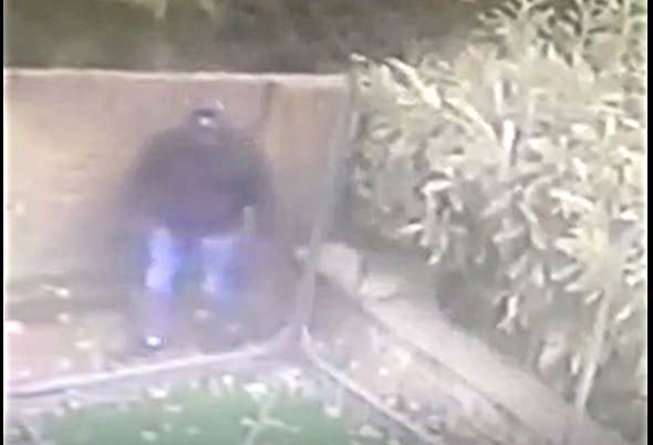 CCTV of Burglars Breaking into house via  Rear Garden