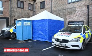 Murder investigation launched Man found dead in Bushey flat 🚨