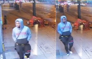 Woman sexually assualted while waiting for a bus home after night out in Camden